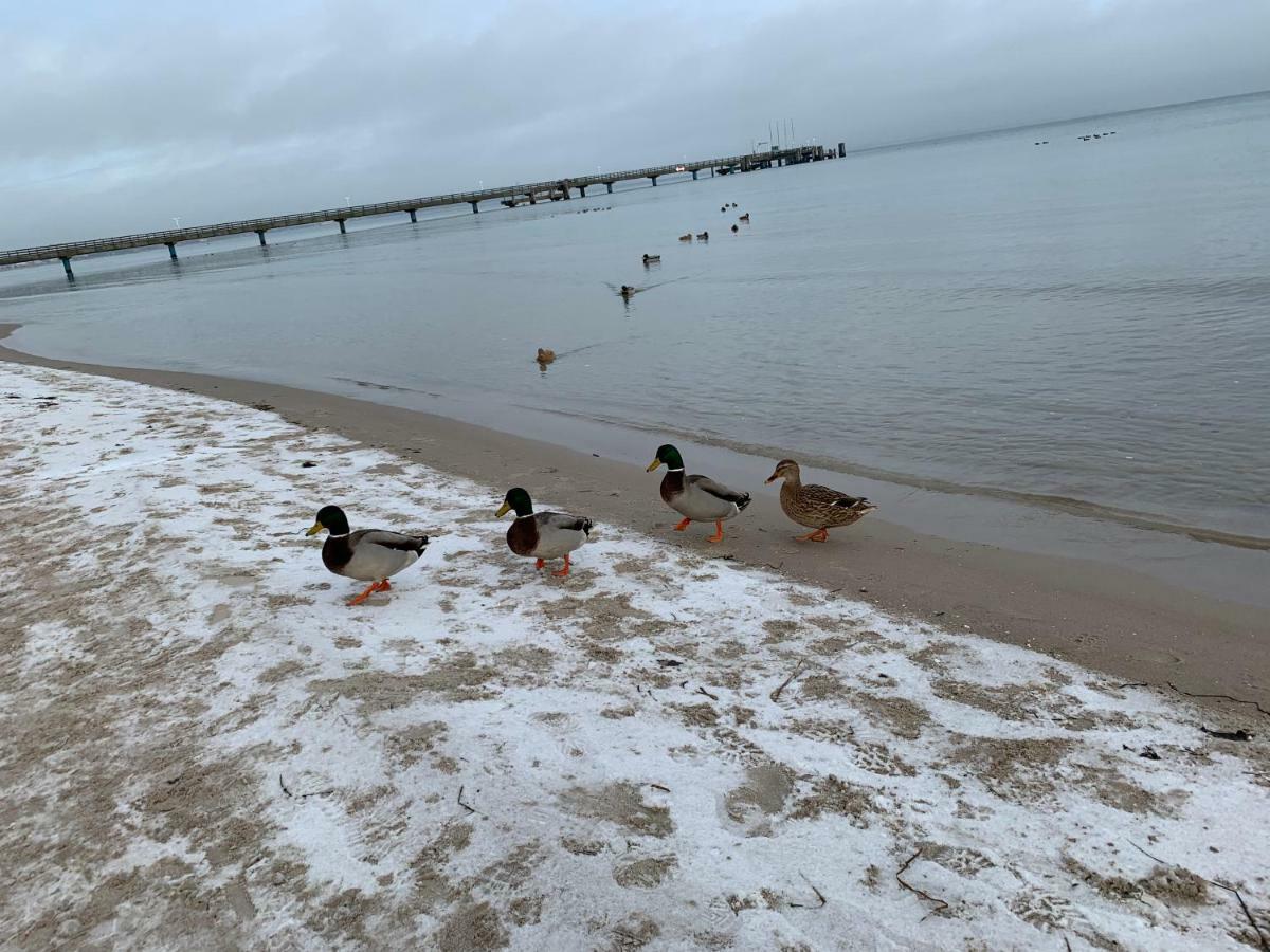 Ferienwohnung In Scharbeutz Exteriér fotografie